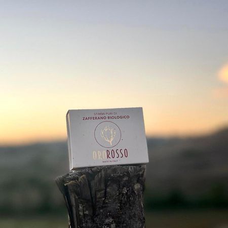 Agriturismo La Terrazza Sul Mangia 시에나 외부 사진