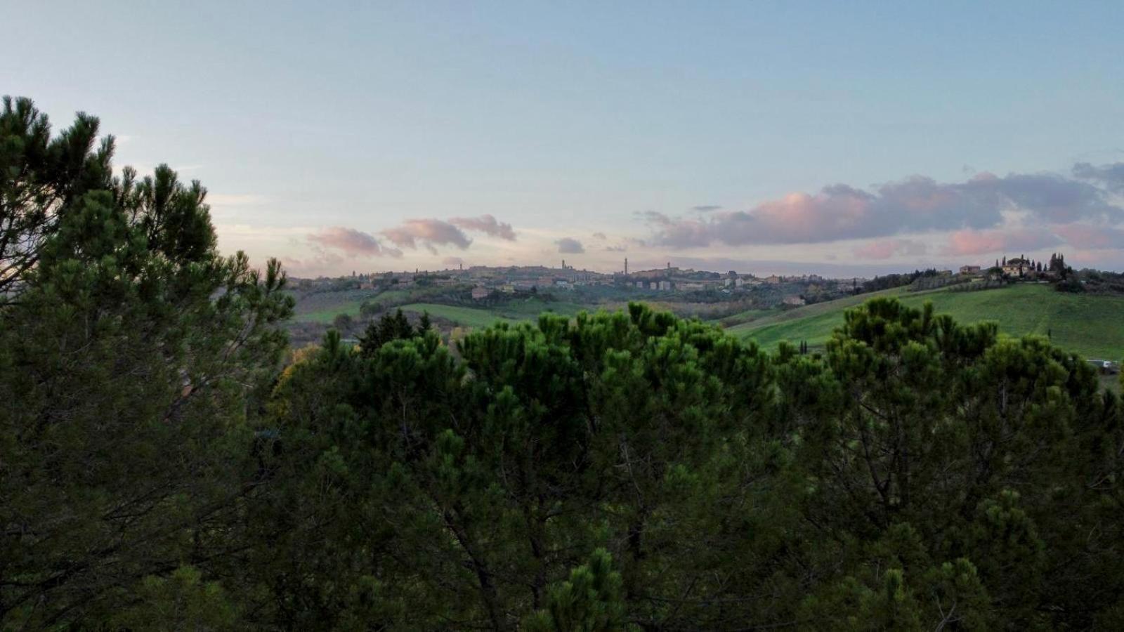 Agriturismo La Terrazza Sul Mangia 시에나 외부 사진