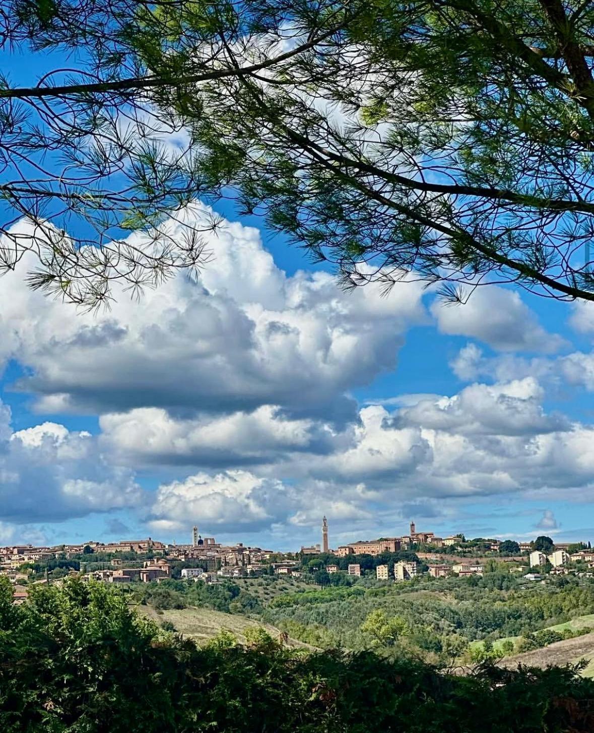 Agriturismo La Terrazza Sul Mangia 시에나 외부 사진